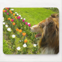 The Collie N More Tulips Mouse Pad mousepads