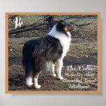 The Collie: Print