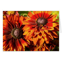 The Colour Orange Greeting Cards