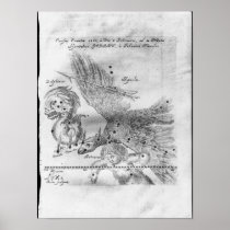 The Comet discovered and observed by Johannes