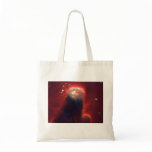 The Cone Nebula Christmas Tree Cluster NGC 2264 bags