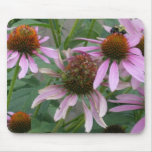 The Coneflower Dance mousepads