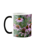 The Coneflower Dance mugs