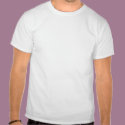 The Constitution is a LIBERAL document t-shirts