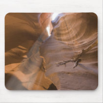 The Corkscrew in Upper Antelope Canyon, Navajo