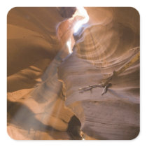 The Corkscrew in Upper Antelope Canyon, Navajo