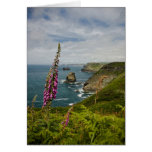 The Cornish Coast Card