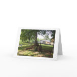 The Country cards