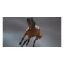 The cowboy horse called Riboking Custom Photo Card