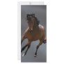 The cowboy horse called Riboking Rack Card