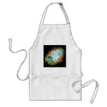 The Crab Nebula M1 NGC 1952 Taurus A aprons