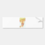 The Crazy Grandma Bumper Stickers