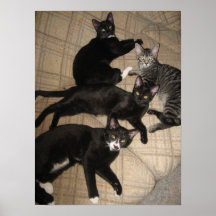 The Crew Print