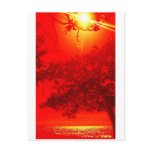The Crimson Tide Postcards