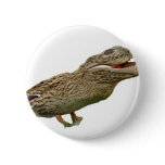 The Crocoduck buttons