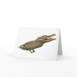 The Crocoduck cards