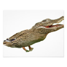 The Crocoduck Custom Invites