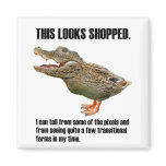 The Crocoduck Deception magnets