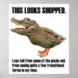 The Crocoduck Deception posters