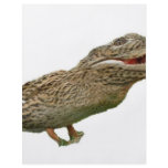 The Crocoduck flyers