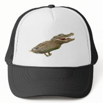 The Crocoduck