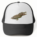 The Crocoduck hats
