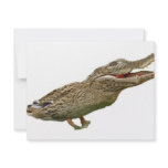 The Crocoduck invitations