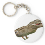 The Crocoduck keychains