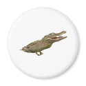The Crocoduck magnets