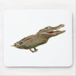 The Crocoduck mousepads