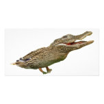 The Crocoduck photo cards