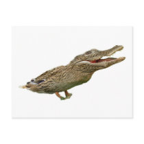 The Crocoduck