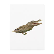 The Crocoduck