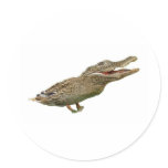 The Crocoduck stickers
