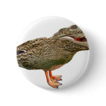The Crocoduck with feet buttons