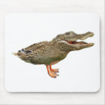 The Crocoduck with feet mousepads