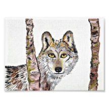 The cunning wolf photograph
