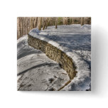 The Curving Wall Button