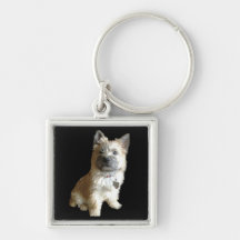 The Cutest Cairn Terrier Ever!  Cuter than Toto! Key Chains