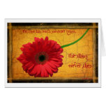 the daisy greeting cards