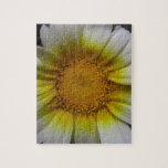The Daisy puzzles