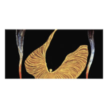 The Dancer Loie Fuller By Moser Koloman (Best Qual Photo Card