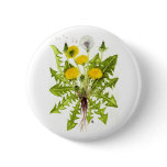 The Dandelion Collection buttons