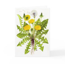 The Dandelion Collection Greeting Cards