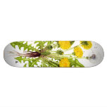 The Dandelion Collection skateboards