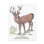 " The Deer " Postcard