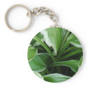 The Depth of Hostas keychains