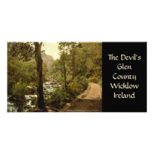 The Devil's Glen, County Wicklow Picture Card