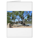 The Dig Tree Card