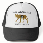 The Dingo Ate Your Baby hats